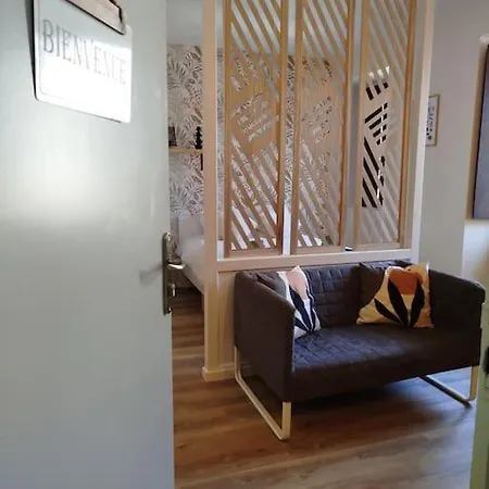 Apartment Au Petit Ruthenois Studio Renove, Hyper-centre Rodez